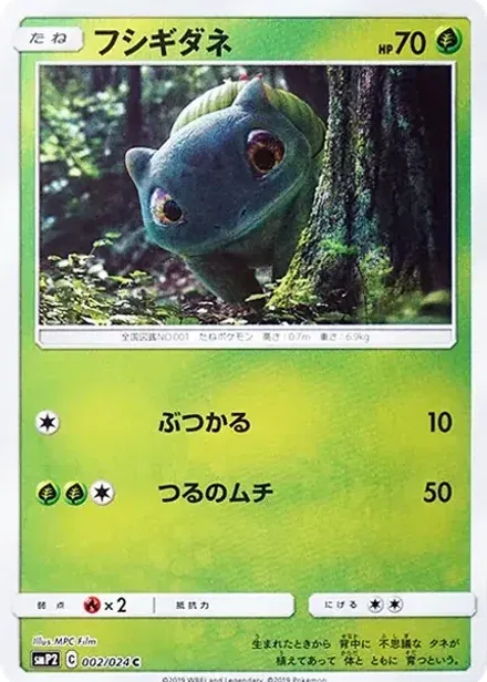 フシギダネ C