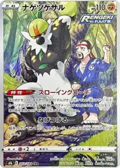 ナゲツケサル CHR PSA10