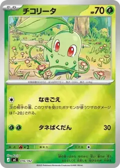 チコリータ: ミラー PSA10