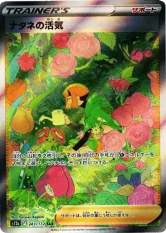 ナタネの活気 SAR PSA10