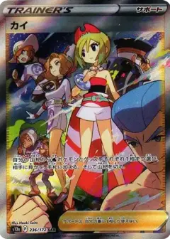 カイ SAR PSA10