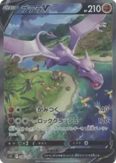 プテラV SR: SA PSA10