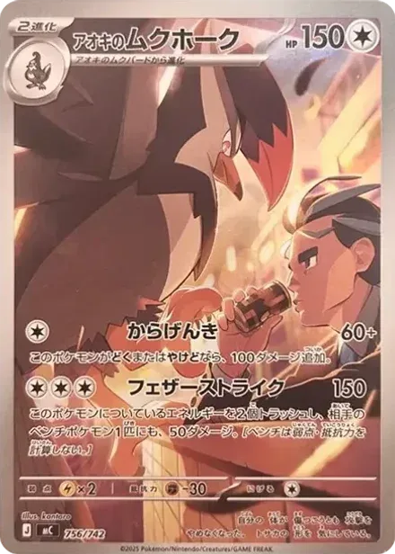 アオキのムクホーク AR仕様