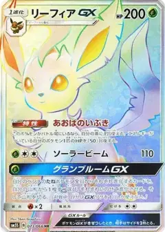 リーフィアGX HR PSA10