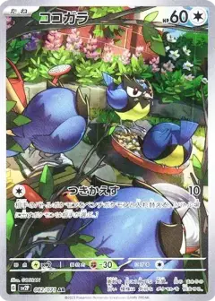 ココガラ AR PSA10