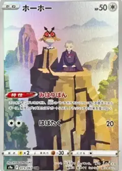 ホーホー CHR PSA10