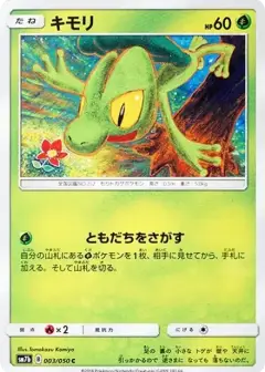 キモリ C PSA10