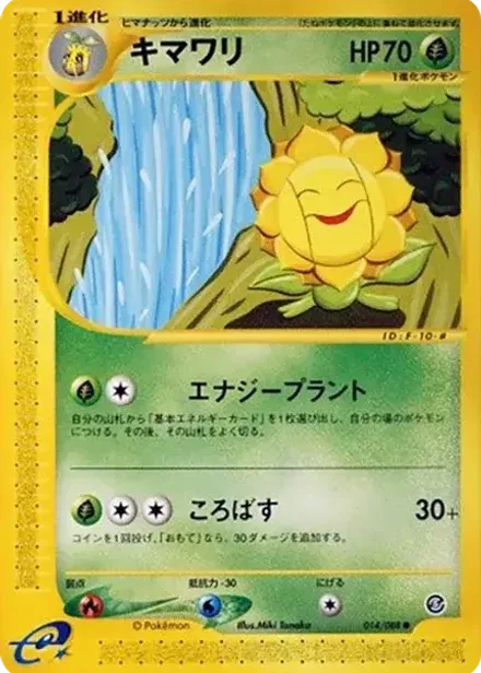 キマワリ ●
