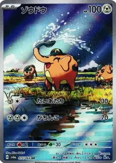 ゾウドウ AR PSA10
