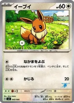 イーブイ PSA10