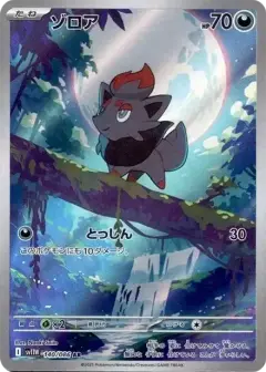 ゾロア AR PSA10