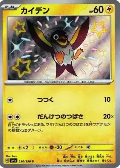 カイデン S PSA10