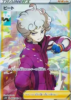 ビート SR PSA10