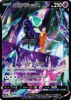 こくばバドレックスV CSR PSA10