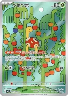 ツボツボ AR PSA10