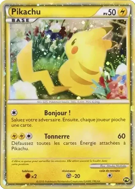 ピカチュウ フランス