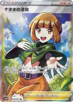 ナタネの活気 SR PSA10