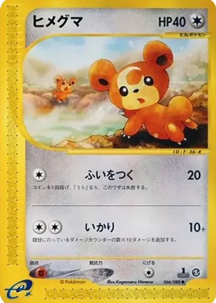 ヒメグマ ●: 1ED