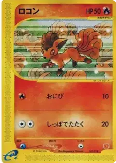 ロコン PSA10