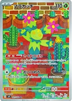 マラカッチ AR PSA10