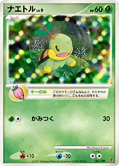 ナエトル PSA10