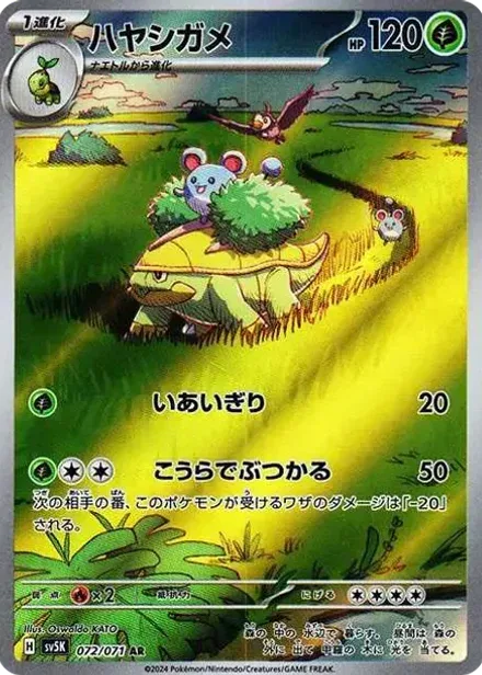 ハヤシガメ AR